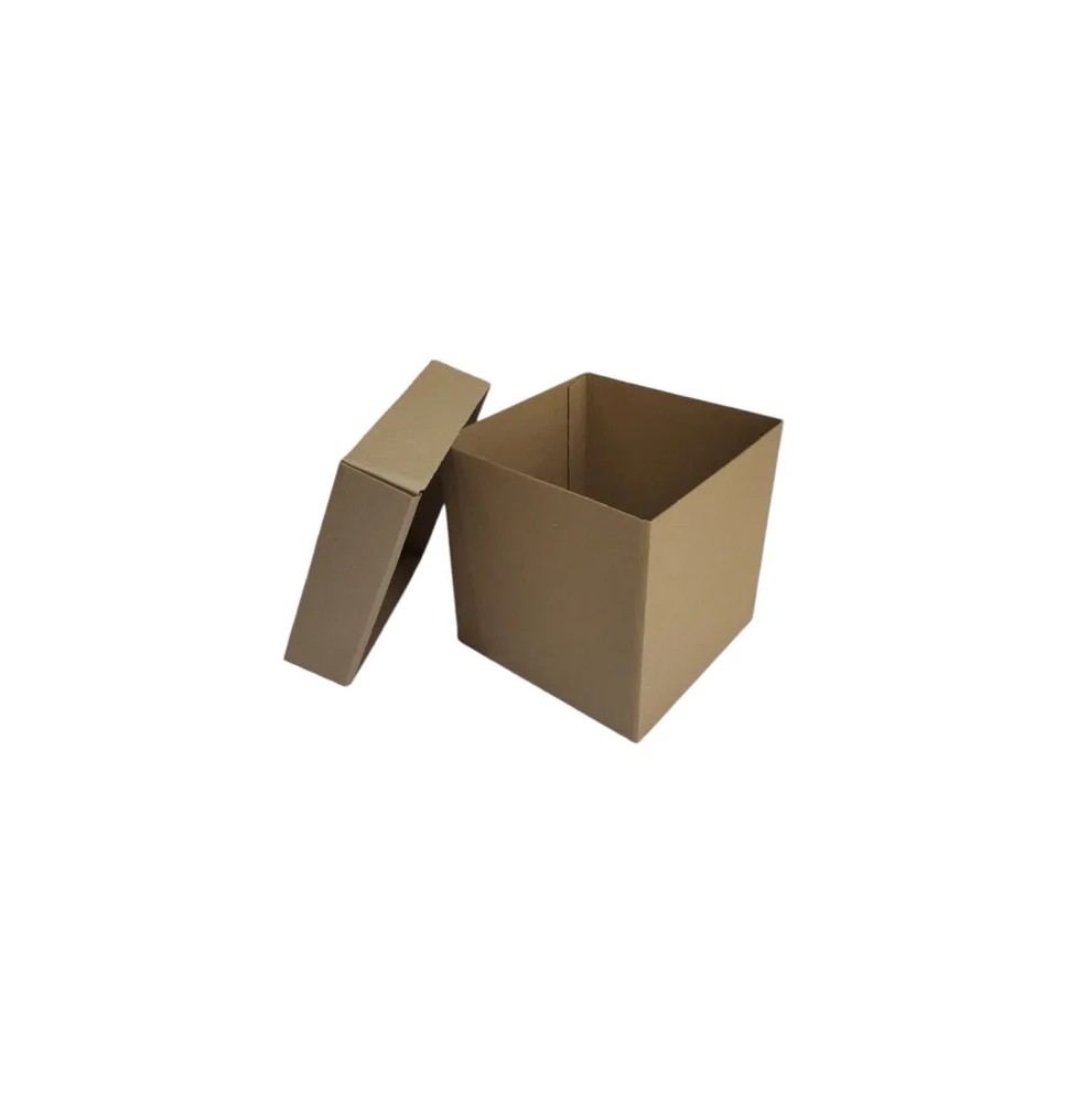 CAJA CUBO KRAFT NAT. 24X24X26CM. E.1