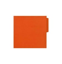 FOLDER CTA. HOTCOLORSFLASHFILE INT. NARANJA E.100 C.500