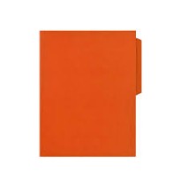 FOLDER CTA. HOTCOLORSFLASHFILE INT. NARANJA E.100 C.500