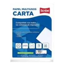 HOJA MULTIUSOS CTA. SCRIBE 5904 PAQ.C100H. BCO. 36K. C.24