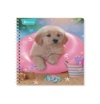 LIBRETA APUNTES DOGS NORMA 525224 RAYA ESP. 80H. C72