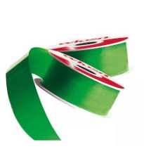 LISTON CELOSA MET. LISO 9 VERDE BANDER 280 JANEL 50M. C32