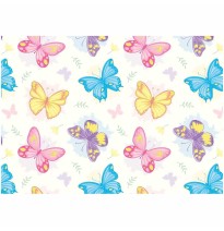 PAPEL COUCHE DAMA GRANMARK 50X70 CM. E.25 C.1000