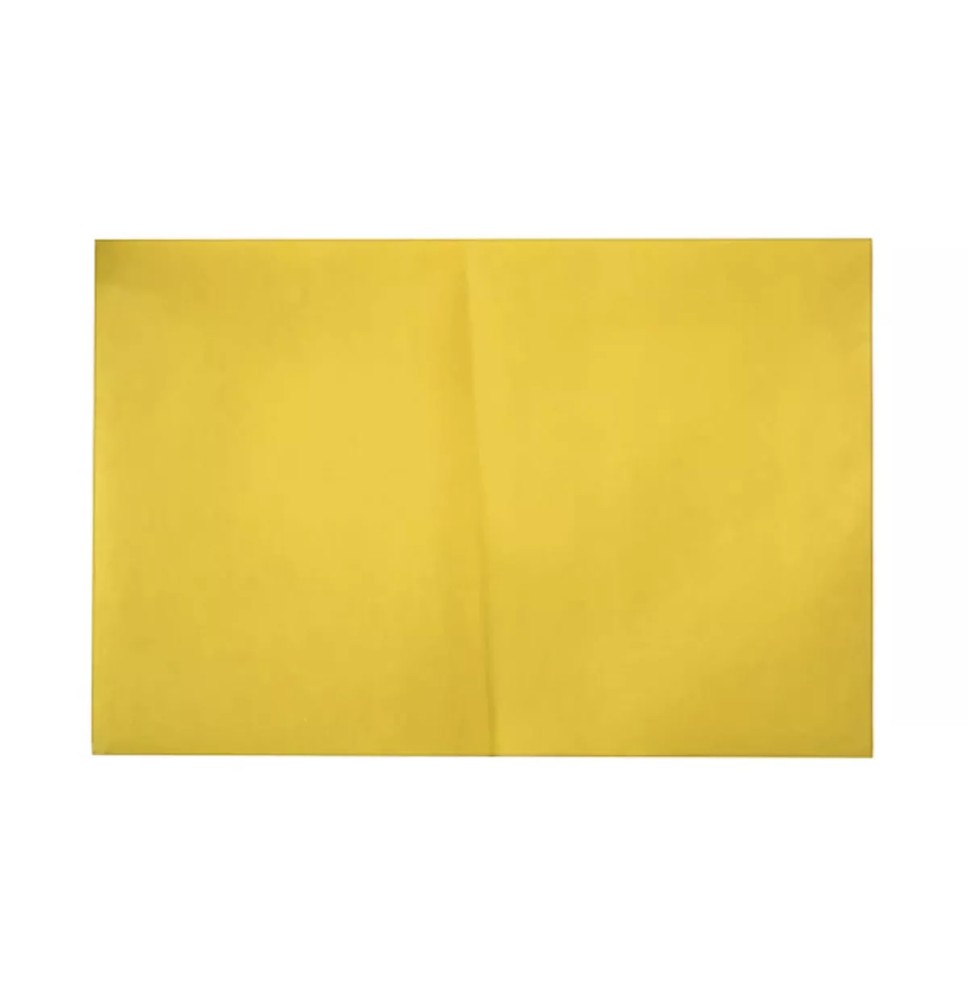 PAPEL GAMUSINA 50X65 CANARIO E.10 C.50