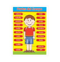 POSTER DID. 70X50CM. PARTES DEL CUERPO GRANMARK E.6