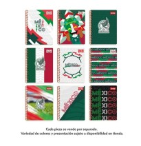 CUADERNO PROF. SELECCION MEX SCRIBE 5672 C5MM ESP.100H.C.24