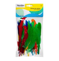 PLUMAS BARRILITO COL.SURT. F009 BOL.C60 . E.24 C.72