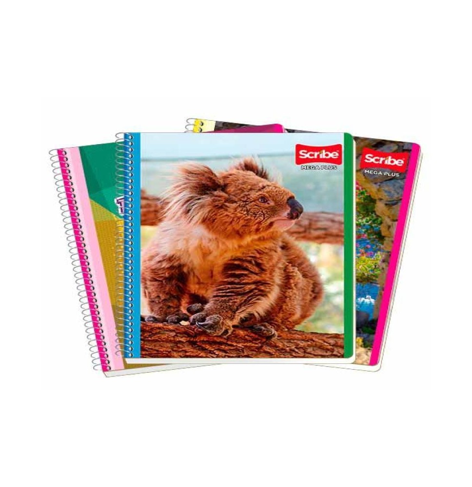 CUADERNO PROF. MEGA SCRIBE 7511 DIBUJO ESP.100H. C.36