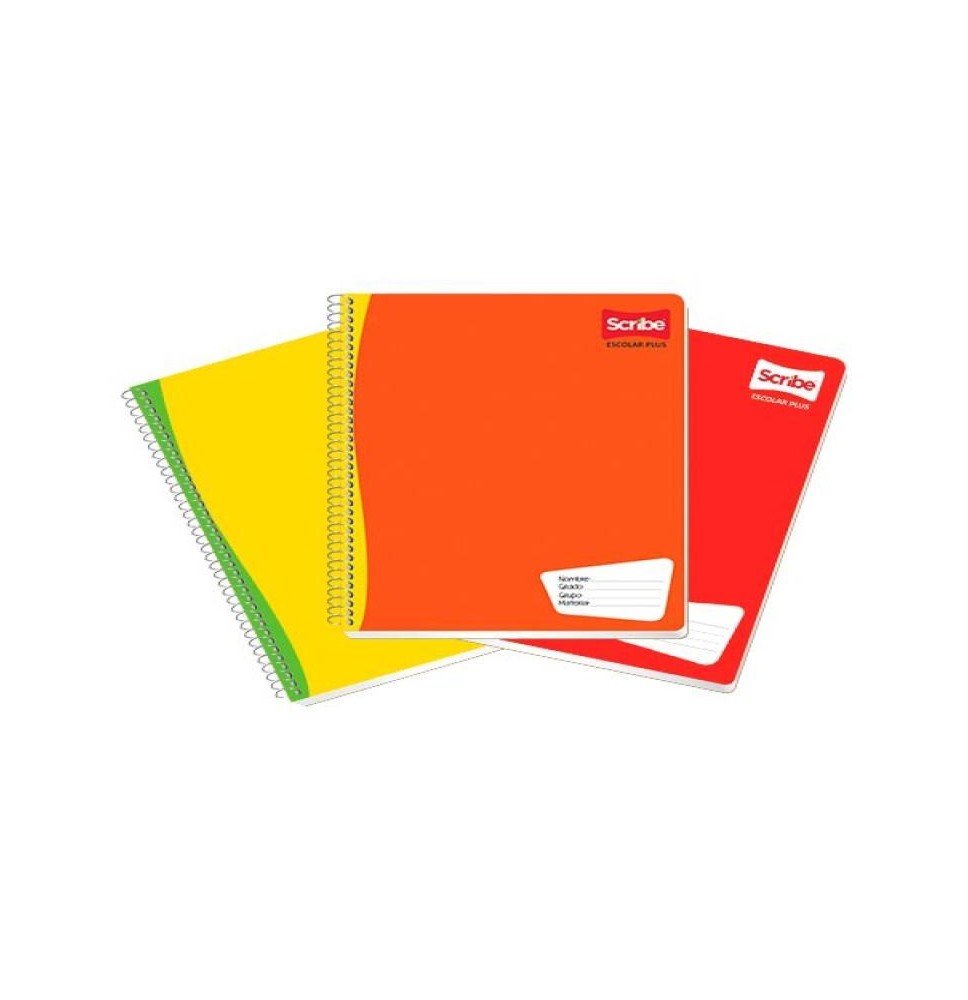 CUADERNO PROF. ESCOLAR SCRIBE 7974 D.RAYA ESP.100H. C36