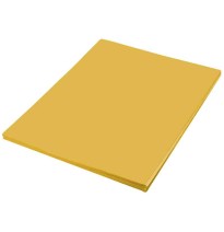 FOAMY 70X95 CM. AMARILLO MANGO E.10 C.50