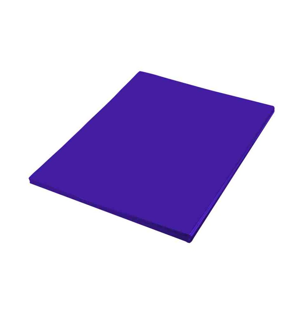 FOAMY 70X95 CM. AZUL REY E.10 C.50