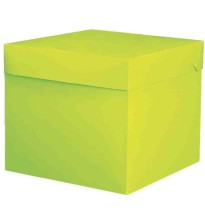 CAJA CUBO COL. LISOS GOSTECH 2 28X28X25CM E.10