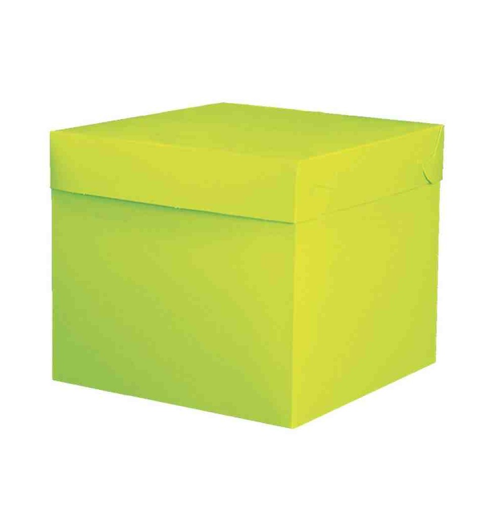 CAJA CUBO COL. LISOS GOSTECH 2 28X28X25CM E.10