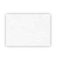 PAPEL VEGETAL CALCA 5055 GRS.61X91 JISS E.250