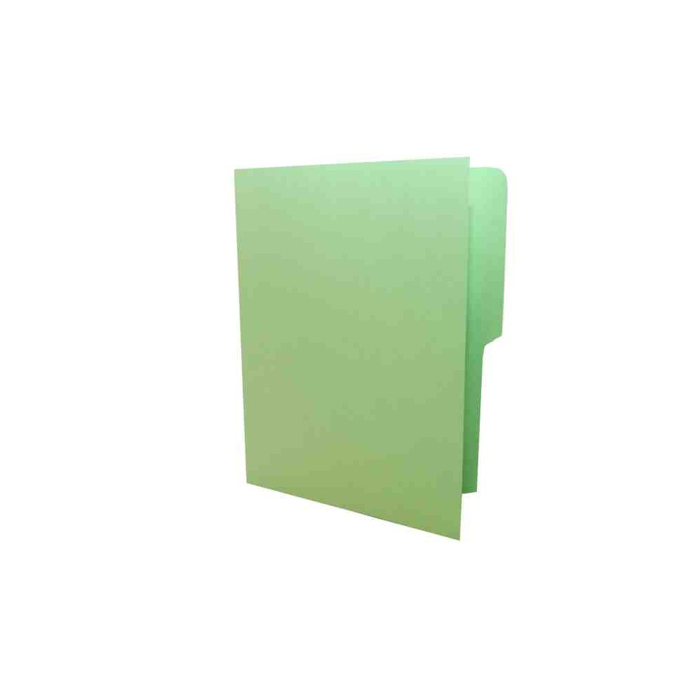 FOLDER CTA. VERDE MAPASA E.100 C.500