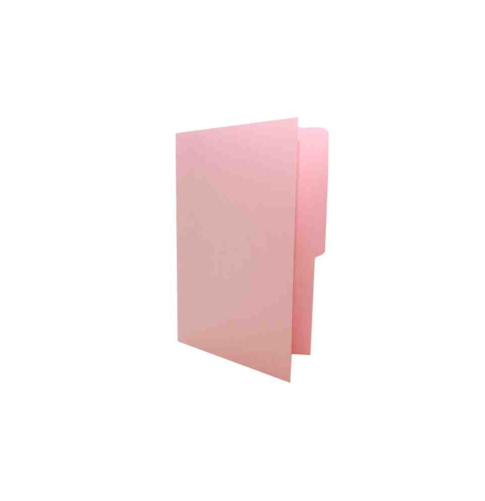 FOLDER OFI. ROSA MAPASA E.100 C.500