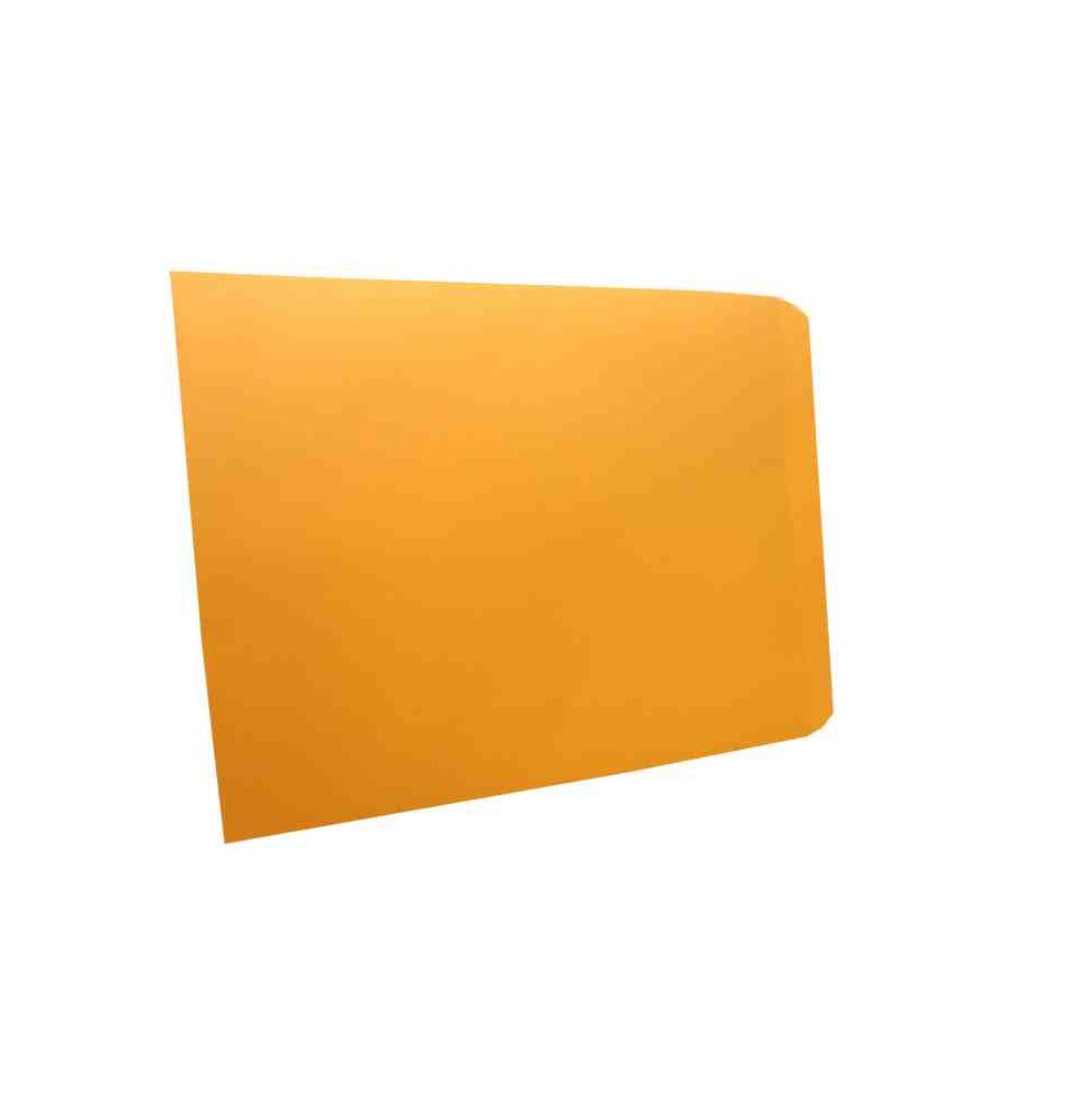 SOBRE BOLSA FOLDER 609 - IA0317 PANUCO PC 60KG. E50500