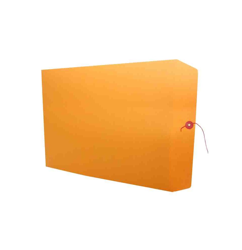 SOBRE BOLSA FOLDER 8009 - IA0331 PANUCO CR PC 80KG25250