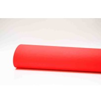 CARTULINA FLUOR. 65X49 CM. ROJO 9001942 ROJO 47.5X66 CM E.10