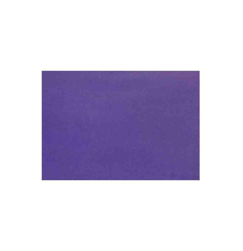PAPEL LUSTRE SATINADO 49X66 CM. MORADO 313 E.25 C.500