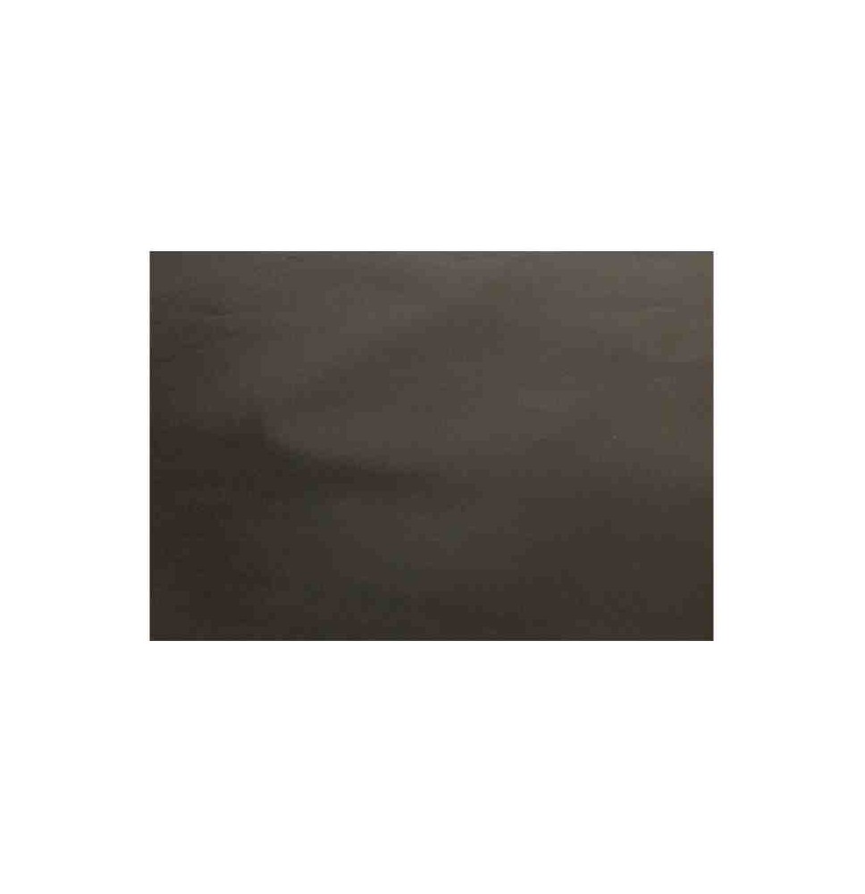 PAPEL LUSTRE SATINADO 49X66 CM. NEGRO 301 E.25 C.500